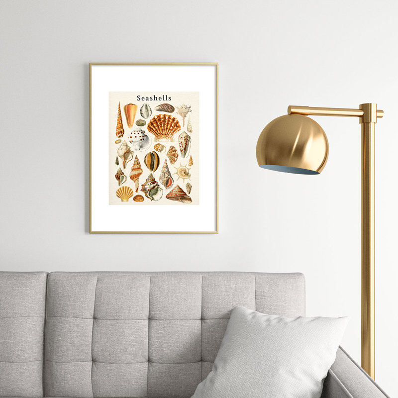 «Gal Design Seashells», reproduction d'art encadrée en métal, Or, H 24 po x l 18 po