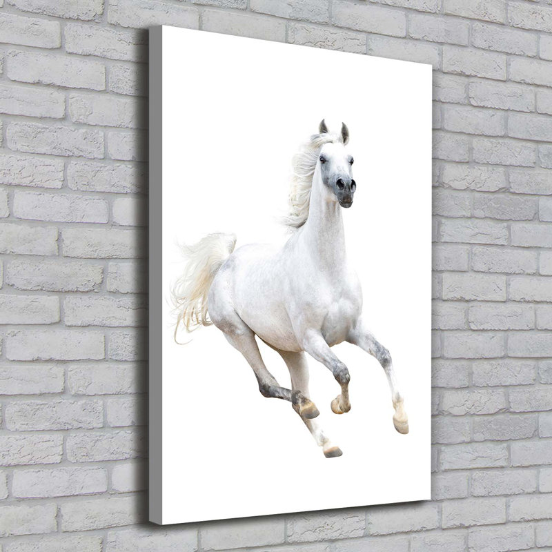 White horse in gallop 1 Piece Wrapped Canvas Wall Art