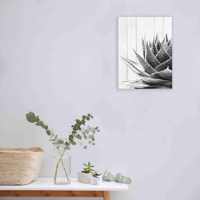Agave Carnforth II sur fond de planche sur toile