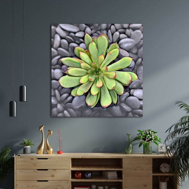 " Echeveria Spruce Oliver ", 12" H x 12" W x 1.5" D