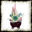 " Cactus Succulents 651 "-1157944173