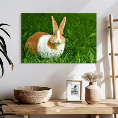 Lapin mangeant une feuille