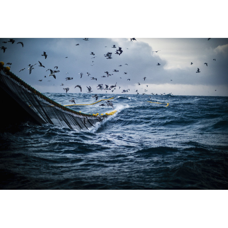 Fish Boat Vessel Fishing In A Rough Sea - Wrapped Canvas Print, 30cm H x 46cm W