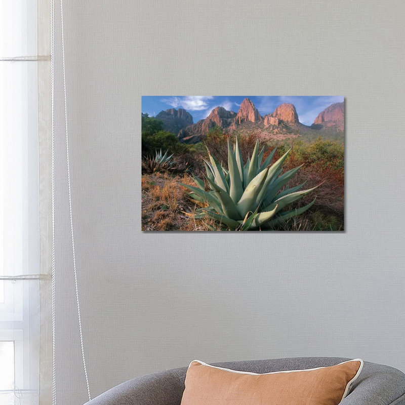 Chisos Agave And The Chisos Mountains, Big Bend National Park, Texas II by Tim Fitzharris - Wrapped Canvas Print