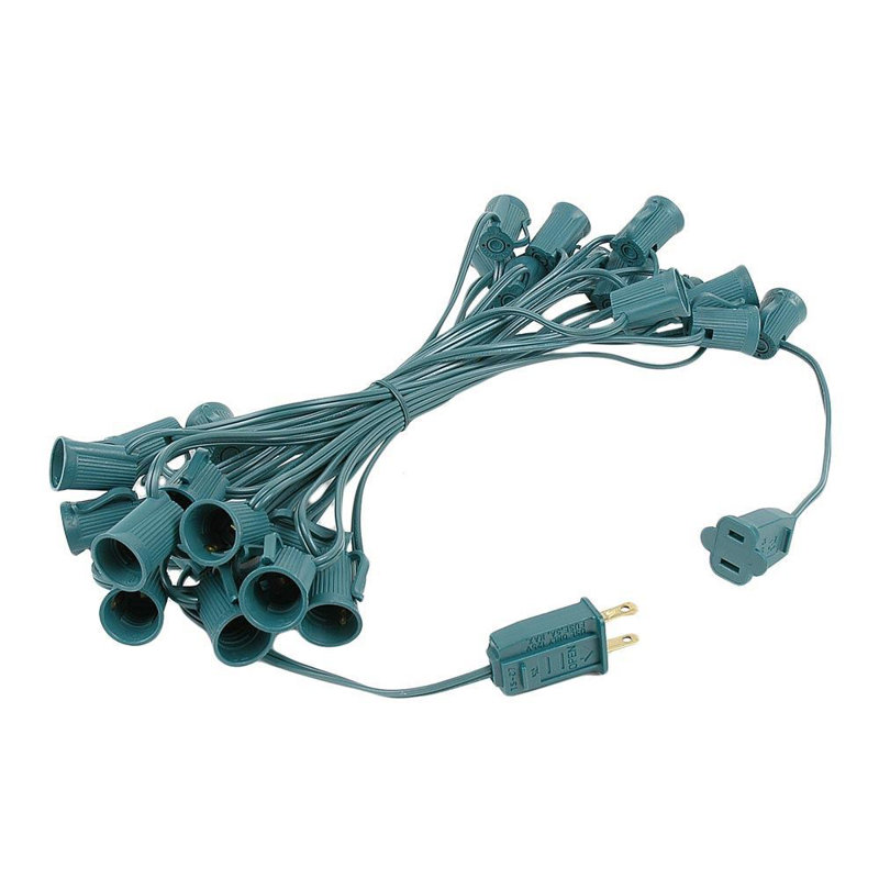 Doyne Outdoor 25 - Bulb 25'' Plug-in LED Globe String Light, Green