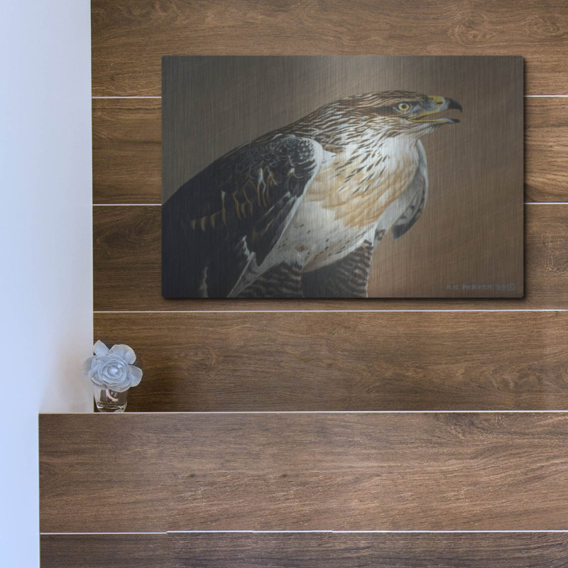 «Ferruginous Hawk» par Ron Parker, H 12 po x l 16 po