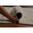 Handmade Gabbeh Oriental Rug 4x6