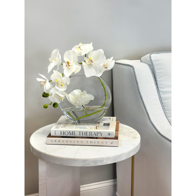 Orchid in Flat Glass Vase