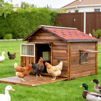 Niche pour chien en bois de pin massif extra large