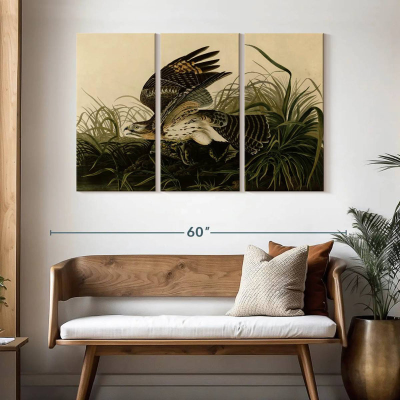 Brampt Winter Hawk, 32" H x 50" W
