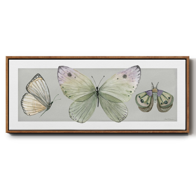 Jolis insectes II - toile encadrée, H 20 po x l 50 po