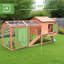 Cage à poules en bois avec poulailler et cage de nidification
