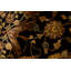 Hand Woven Wool Area Rug
