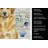 Lion Yellow Leonberger Coastal Sea Glass Kitchen Towel-871464409