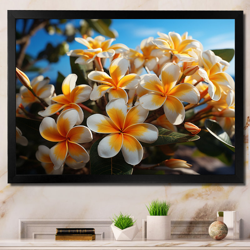 «White and Yellow Plumeria Tropical Splendor» sur impression sur toile, H 12 po x l 20 po x P 1 po, Cadre simple noir