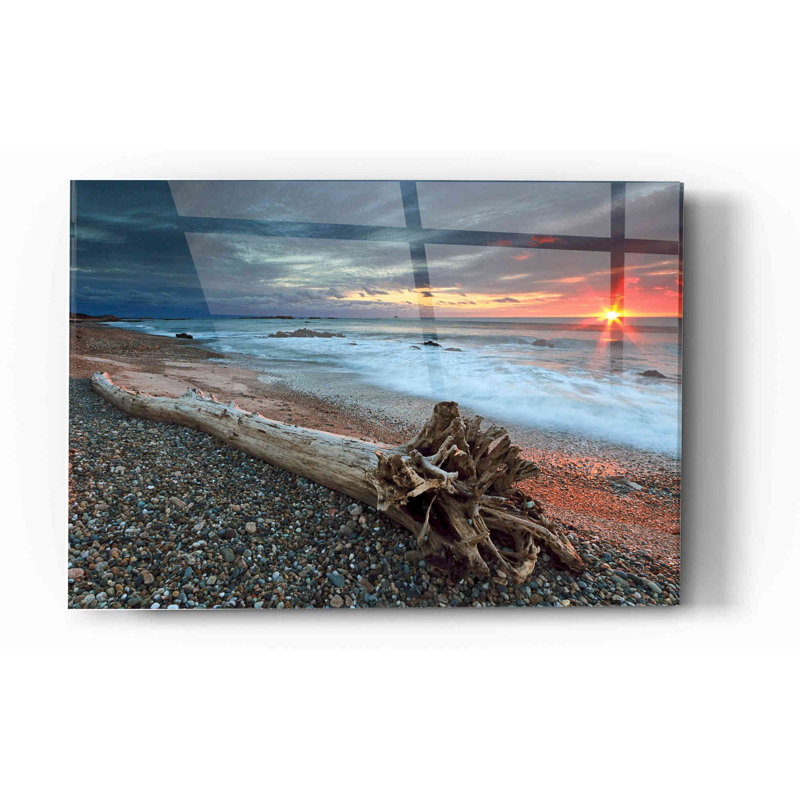 «Sakonnet Driftwood» par Katherine Gendreau, art mural en verre acrylique, H 16 po x l 24 po