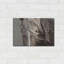 «Wind Knots» par Lisa Dearing-1553572704