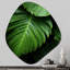 «Miconia - Unique Shape Palms», reproduction d'art asymétrique-110502959