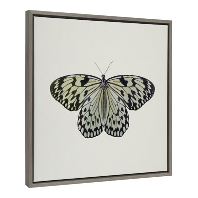«Two Tone Butterfly» par Robert Cadloff, reproduction d'art sur toile encadrée