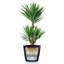 Classico Pot Planter-60539206