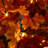 4Ft. Pre-Lit Deluxe Autumn Maple Artificial Fall Tree With 68 Warm White LED Lights