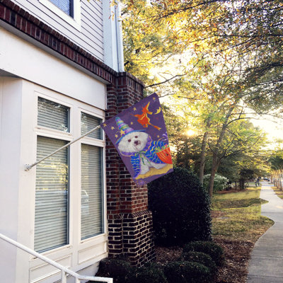 Hvidovre Double Sided 40'' H x 28'' W Polyester Animal House Flag