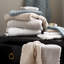 Débarbouillette 100% coton Ludlow-49822521