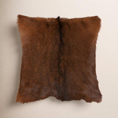 Juneau 18" x 18" Throw Pillow