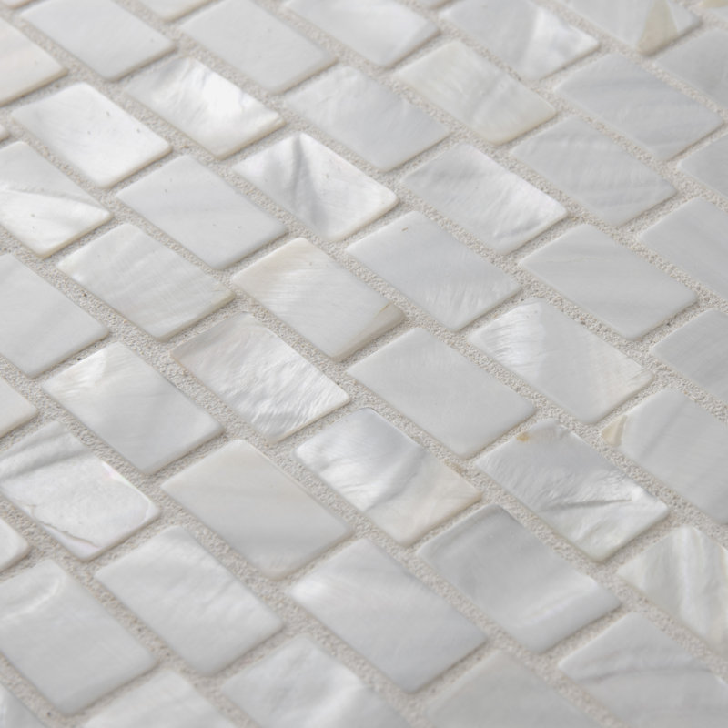Carreau de mosaïque murale coquille naturelle blanche 11-1 / 2 "x 11-7 / 8" Conchella Subway