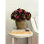 Arrangement floral d'automne hortensia-1147535359