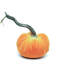 Carrot Silk Velvet Pumpkin-37782974