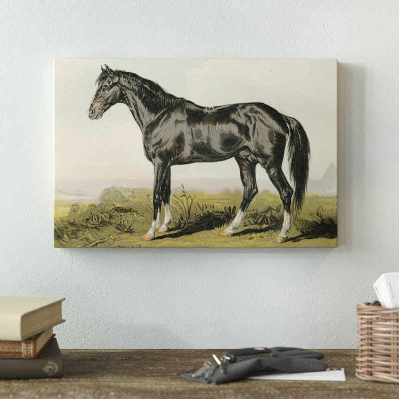 Cassells Horse II - Painting Print, Wrapped Canvas, 30cm H x 46cm W