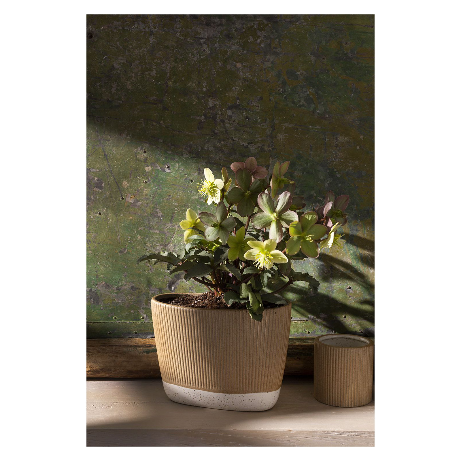 Cavana Ceramic Floor Trough