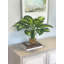 Faux Hosta Plant in Glass Vase