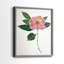 Imprimé encadré PressedCamelliaI-Premium - prêt à être accroché - aucun clou requis - aucun clou requis-513466882-513466883