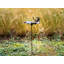 MAGPIE Birdbath