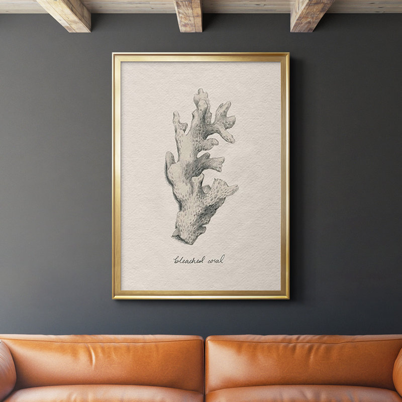 Shore Treasure Study II, reproduction encadrée de qualité supérieure - prête à être accrochée, Or