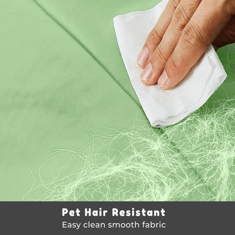 Tapis de voyage en nylon pour chien, Vert pâle