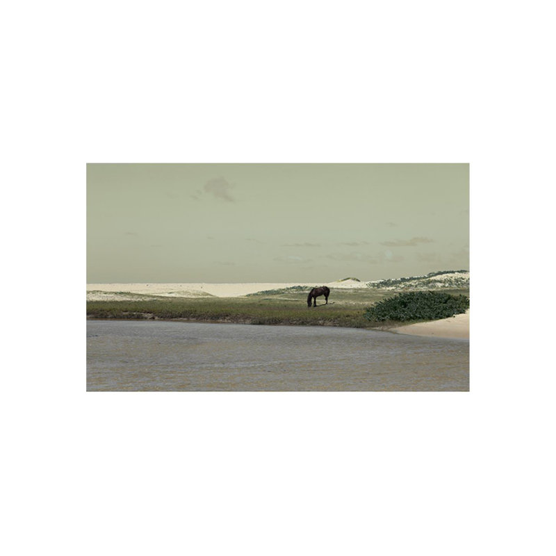 Wild Meadow Print by Austin Beiv, Outdoor, 30" H x 50" W x 1.5" D