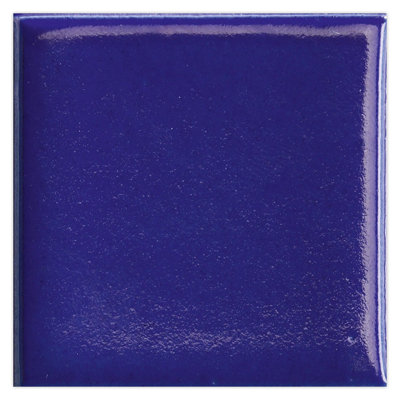 Terralis 2 X 2 In. Glossy Porcelain Square Wall And Floor Tile (0.86 Sq Ft/Case) - 50 Pack