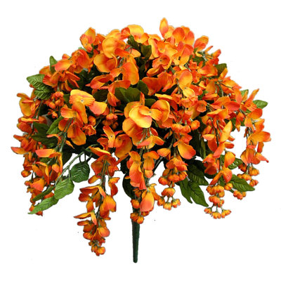 Tiges de glycine