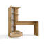 Todo Desk with Tall Bookcase