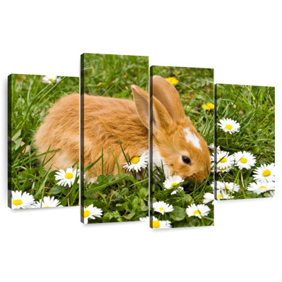 Brampt marguerites et lapin
