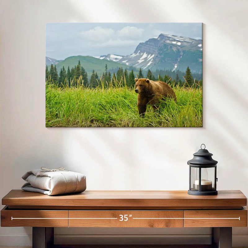 Scène de montagne Alvord Bear, H 16 po x l 24 po