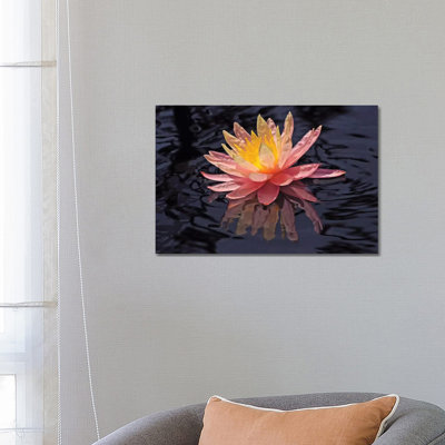 Water Lily Reflection by Brian Wolf - Wrapped Canvas Print