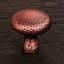 CK Series 1 1/4" Diameter Mushroom Knob-12829772