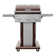 Permasteel 3-Burner Compact Propane Gas Grill with Foldable Side Tables and Grilling Tool Hooks