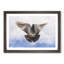 Flying Pigeon - Picture Frame Graphic Art Print-56713091-56713094