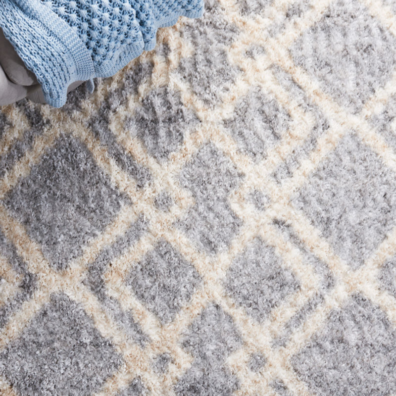 Tapis à poils longs Noyes, Rectangle 2 pi x 4 pi