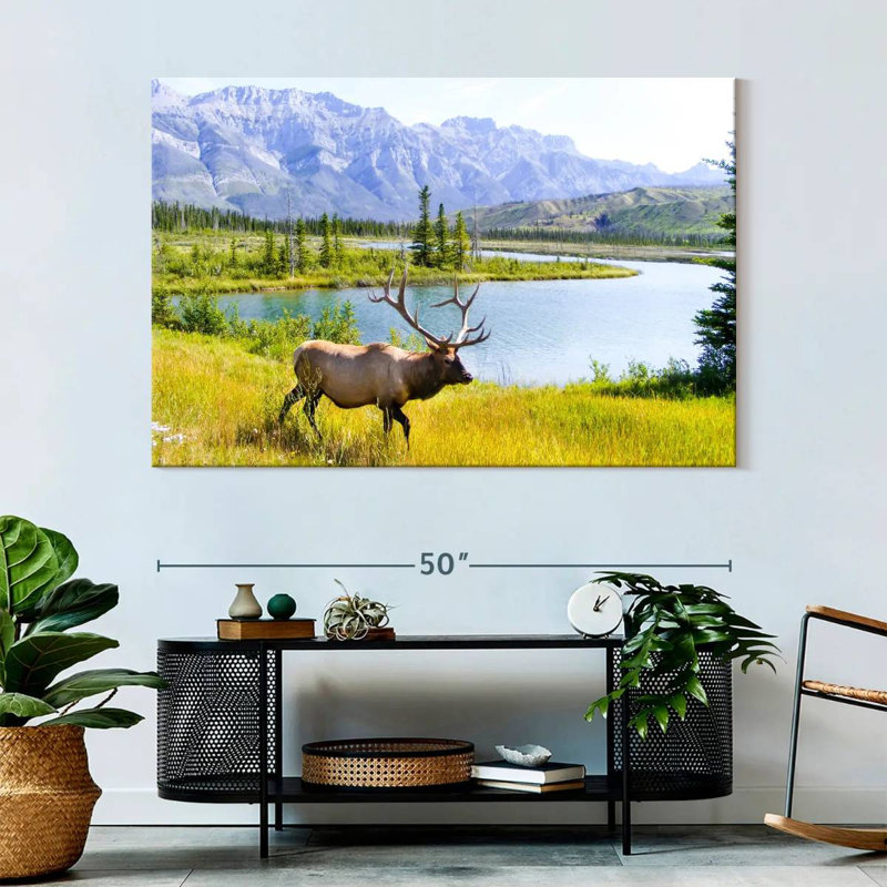 Brampt Elk Paradise, 34" H x 51" W